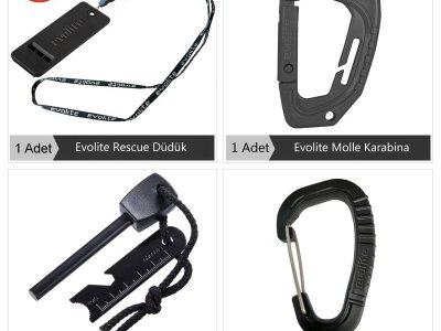 Evolite Survivor Seti