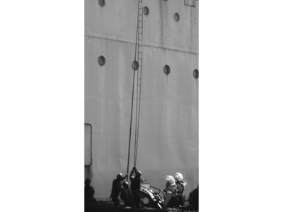 VerTmax Teleskopik Kollu Tırmanma Merdiveni